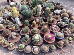 -南通洲际绿博园