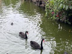 -海南热带野生动植物园