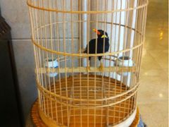 iphone_upload_pic-月亮河温泉度假酒店