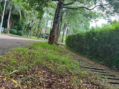 -白沙门生态公园