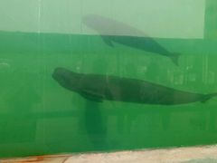 -北戴河圣蓝海洋公园