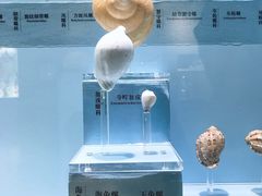 -温州博物馆