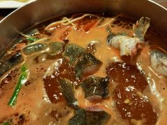 -苗家大院酸汤鱼(贵阳北站店)