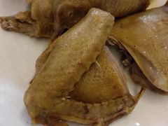 -百利鸽王(紫薇路店)