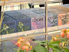 -LOEWE罗意威(万象城店)