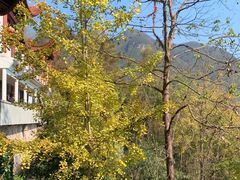 -天台山赤城山景区