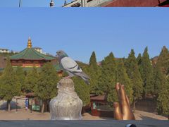 -龙口南山旅游景区