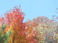 -白草畔自然风景区