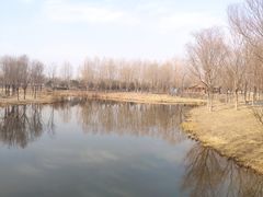 -东郊湿地公园