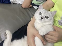 -芭比堂爱心动物医院(柯桥康爱分院)