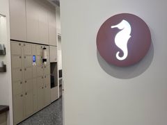 -海马体大师店(广州天汇广场IGC大师店)