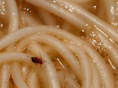 -红燕阁·精品琼菜·粤式早茶·囍宴(红燕堂酒店)