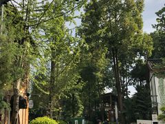 -三圣花乡旅游区