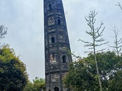 -上海佘山国家森林公园天马山园