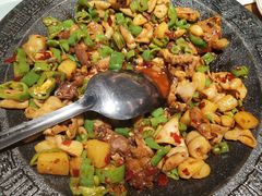 -聚鑫朋酸菜肥肠(文艺路口店)