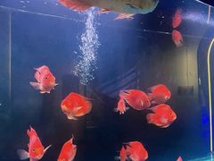 -山水温泉