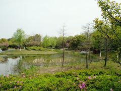 -尚贤河湿地