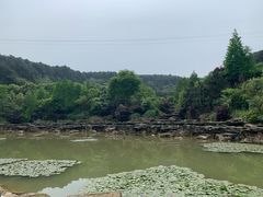 -铁山坪森林公园