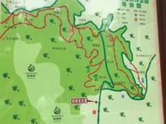 -大屏嶂森林公园