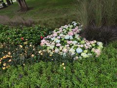 -重庆市江北嘴中央商务区中央公园