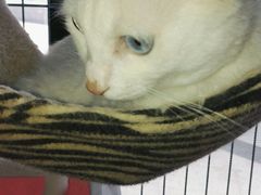 -赢吧Bliss音乐酒吧
