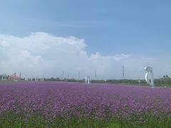 -西海岸生态观光园