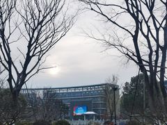 -金陵中学(河西分校)