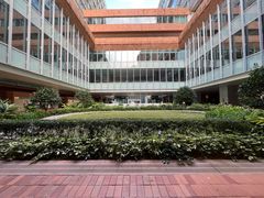 -香港大学
