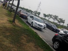 -大塘金香草谷