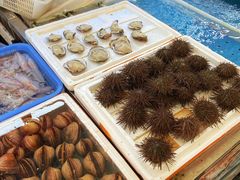 -大湾区中央湿地公园-十九涌