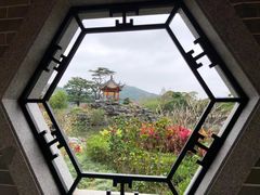 -顺峰山公园
