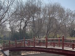 -元大都城垣遗址公园