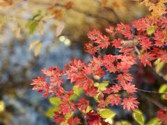 -本溪老边沟风景区