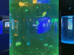 -苏州海洋馆