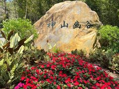 -广州白江湖森林公园