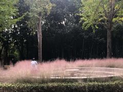 -苏州河梦清园环保主题公园