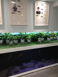 -禾梧舞蹈·DANCE WITH ME