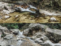 -九龙江国家森林公园