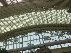 -杭州开元森泊度假乐园