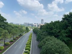 -玉树公园