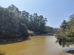 -南国桃园旅游度假区