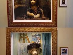 -济州岛泰迪熊博物馆