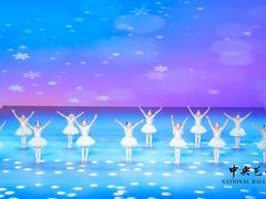 -中央芭蕾舞团·中芭艺蕾(酒仙桥明星校区)