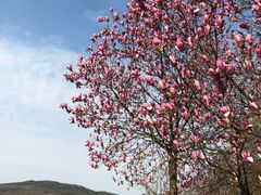 -钟山体育运动公园