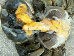 小黄蟹-蟹道河蟹大米商行
