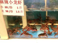 水产区-天津乾毓德饭庄·清真传统炒菜·海鲜烧烤(咸阳路店)