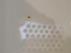 -敦煌宾馆