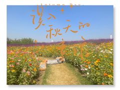 -上海滨江森林公园