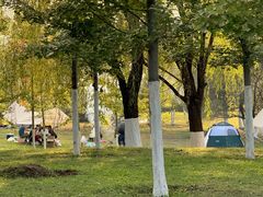 -蒲河岛湿地公园