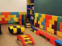 -早慧树儿童感觉统合体能训练中心(市北校区)